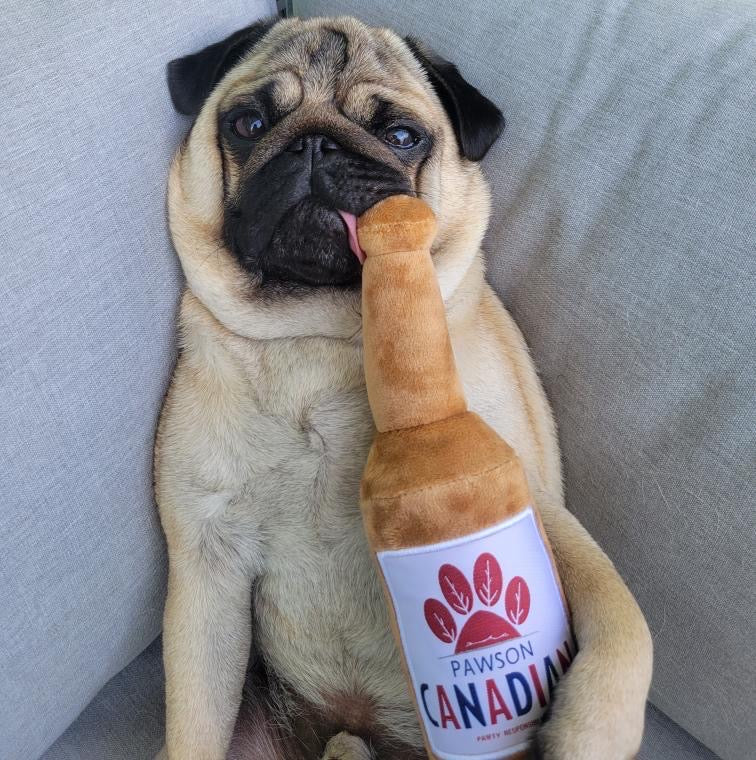 Pawson Canadian Dog Toy (Back in Stock MAY 2026)