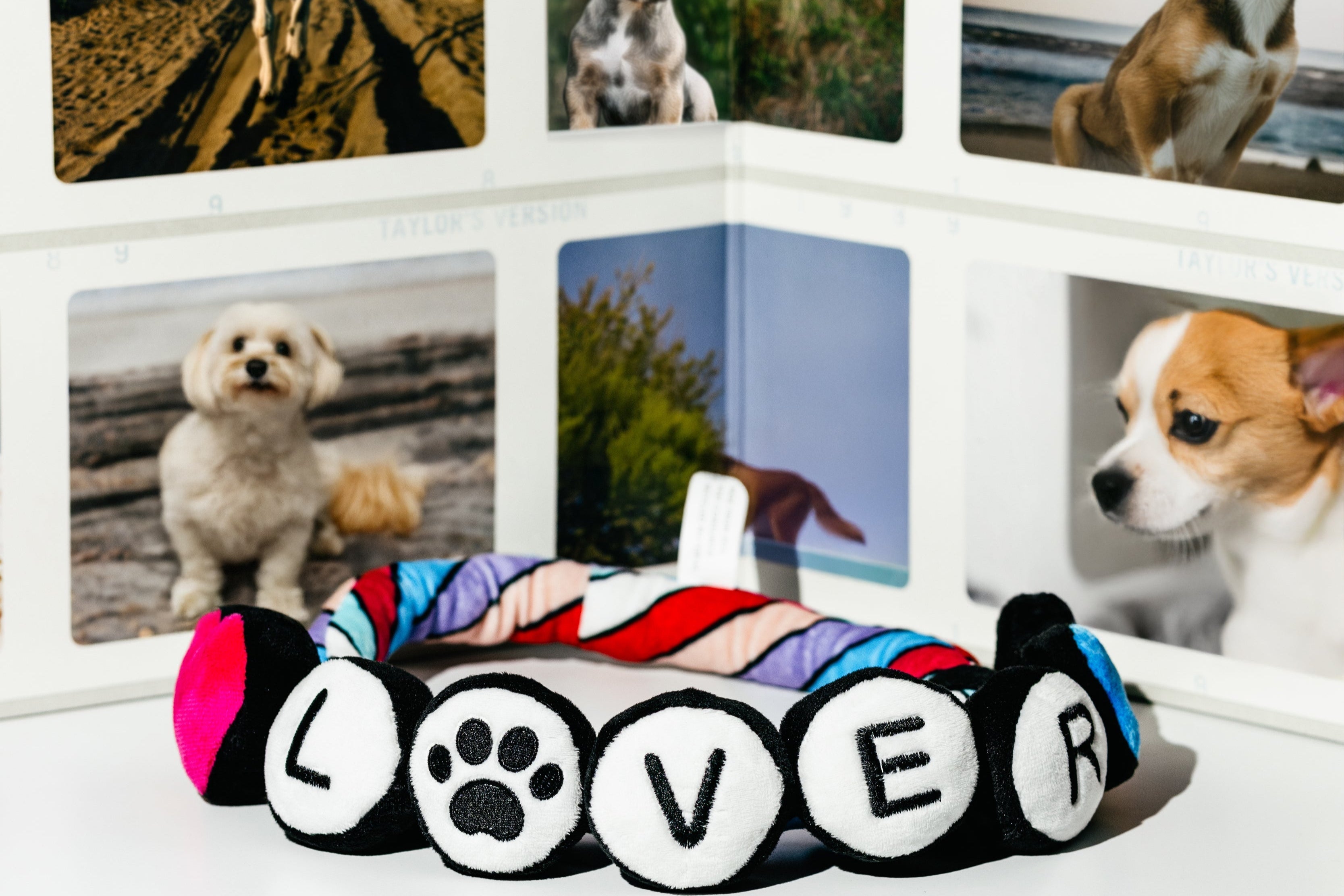 NEW LIMITED EDITION Pawty Animals Eco-Friendly Lover Friendship Bracelet - Rope Dog Toy