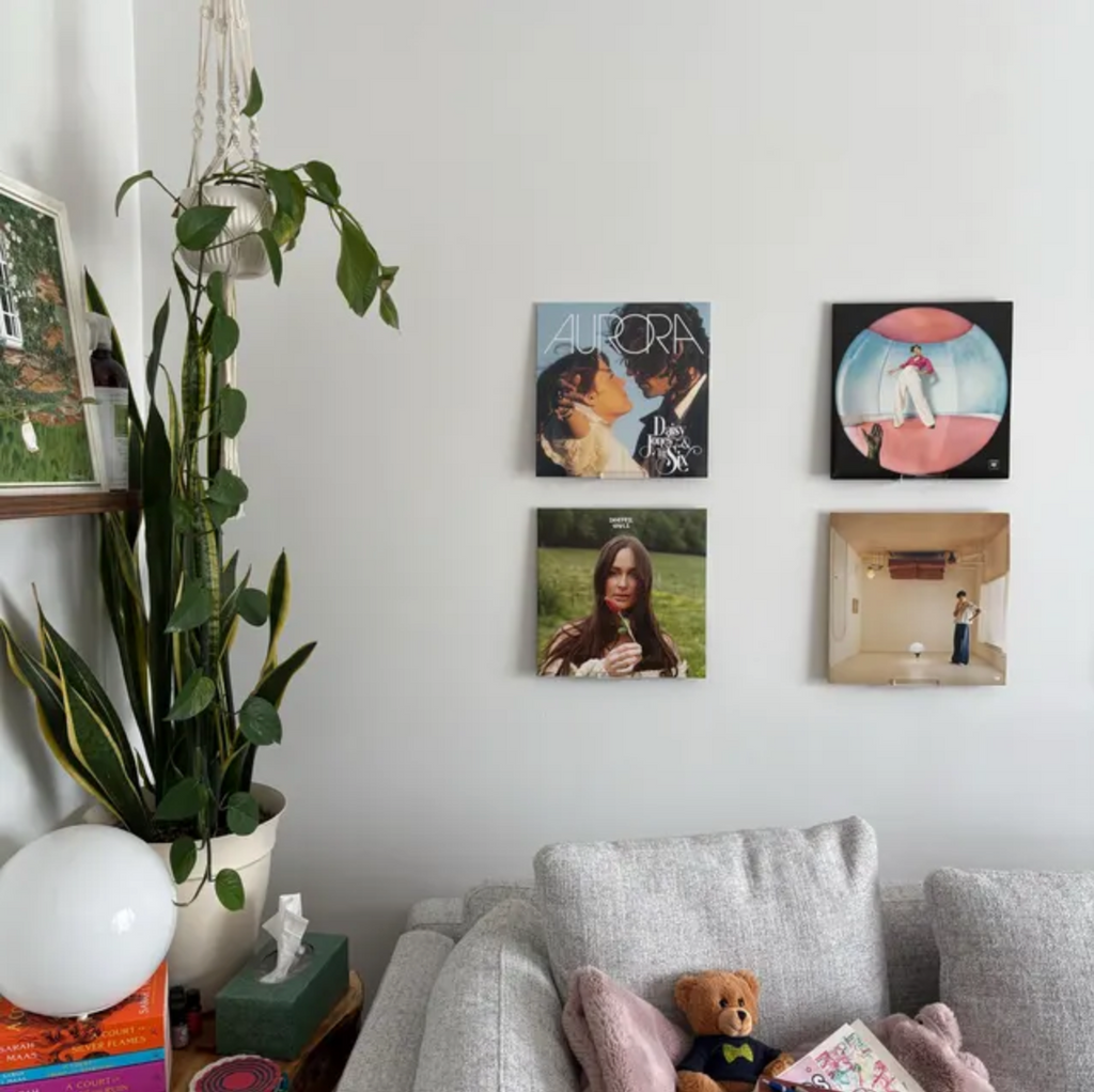 Double Vinyl Record Cover Display Wall Mount