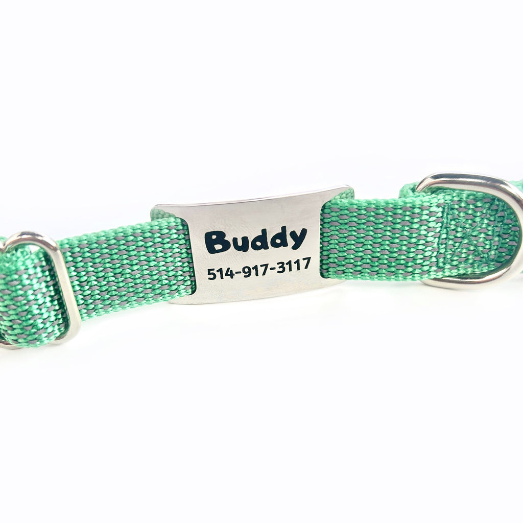 Médaille personnalisée pour animaux de compagnie